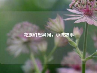 龙族幻想异闻，小城故事