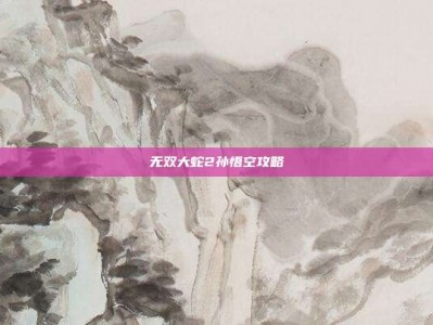 无双大蛇2孙悟空攻略