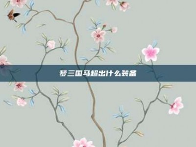 梦三国马超出什么装备
