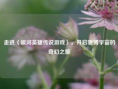 走进〈银河英雄传说游戏〉，开启驰骋宇宙的奇幻之旅