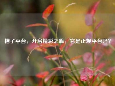 桔子平台，开启精彩之旅，它是正规平台吗？