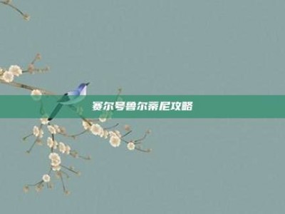 赛尔号鲁尔蒂尼攻略