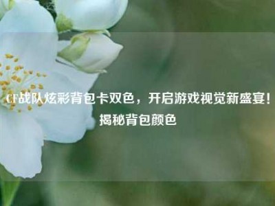CF战队炫彩背包卡双色，开启游戏视觉新盛宴！揭秘背包颜色