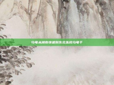 乌龟从湖南快递到东北冻成乌龟干