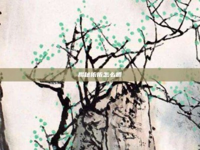揭秘依依怎么抓