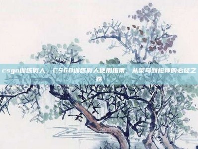 csgo训练假人，CSGO训练假人使用指南，从菜鸟到枪神的必经之路