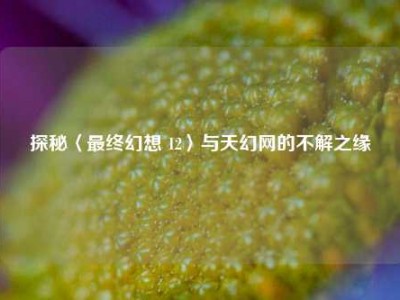 探秘〈最终幻想 12〉与天幻网的不解之缘