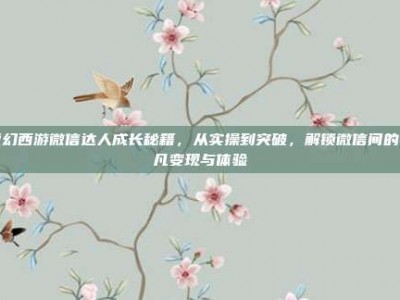 梦幻西游微信达人成长秘籍，从实操到突破，解锁微信间的非凡变现与体验