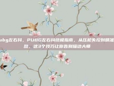 pubg左右抖，PUBG左右抖终极指南，从压枪失控到精准锁敌，这3个技巧让你告别描边大师