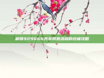解锁929666共享网激活码的终极攻略