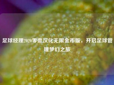 足球经理2020零壹汉化无限金币版，开启足球管理梦幻之旅