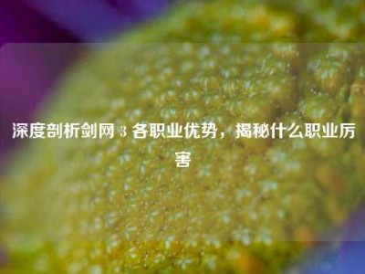深度剖析剑网 3 各职业优势，揭秘什么职业厉害