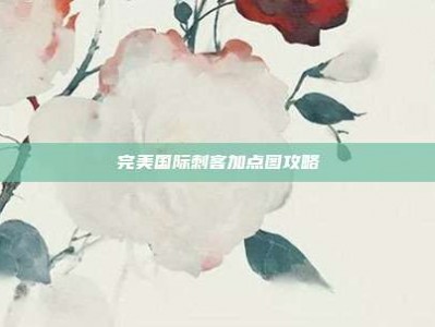 完美国际刺客加点图攻略