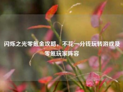 闪烁之光零氪金攻略，不花一分钱玩转游戏及零氪玩家阵容