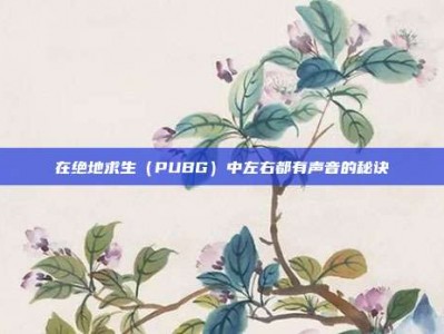 在绝地求生（PUBG）中左右都有声音的秘诀