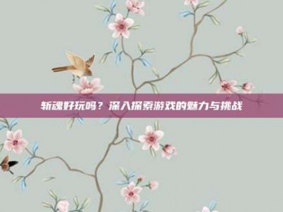 斩魂好玩吗？深入探索游戏的魅力与挑战