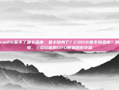 cod16看不了显卡温度，显卡隐身了？COD16看不到温度？别慌，三招让你的GPU数据原形毕露