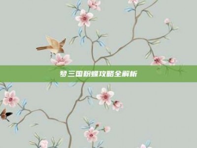 梦三国粉蝶攻略全解析
