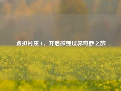 虚拟村庄 1，开启微观世界奇妙之旅