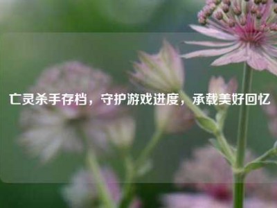 亡灵杀手存档，守护游戏进度，承载美好回忆
