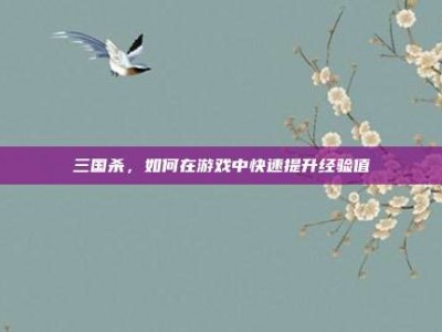 三国杀，如何在游戏中快速提升经验值