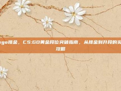 csgo排金，CS:GO黄金段位突破指南，从排金到升段的实战攻略