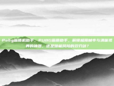 Pubg画质机助手，PUBG画质助手，解锁极限帧率与清晰视界的神器，还是暗藏风险的双刃剑？