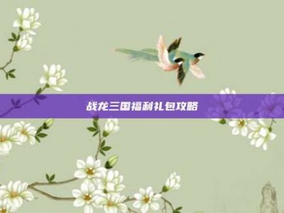 战龙三国福利礼包攻略