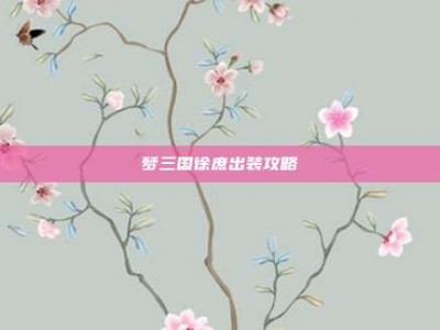 梦三国徐庶出装攻略