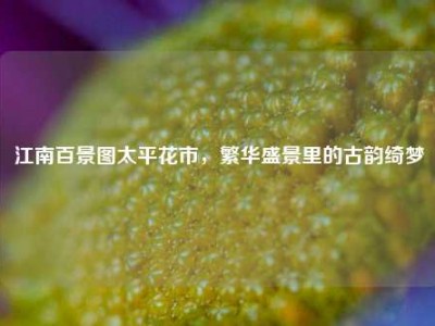 江南百景图太平花市，繁华盛景里的古韵绮梦