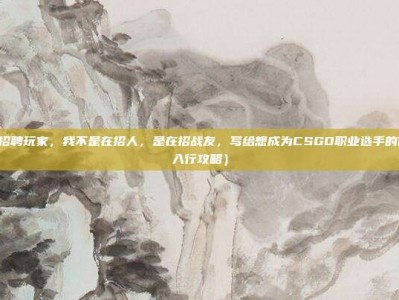 csgo招聘玩家，我不是在招人，是在招战友，写给想成为CSGO职业选手的你（附入行攻略）