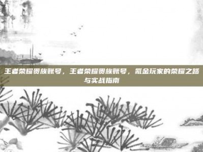王者荣耀贵族账号，王者荣耀贵族账号，氪金玩家的荣耀之路与实战指南
