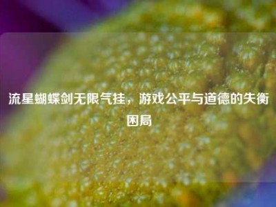 流星蝴蝶剑无限气挂，游戏公平与道德的失衡困局