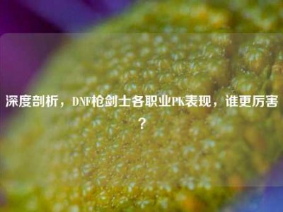 深度剖析，DNF枪剑士各职业PK表现，谁更厉害？