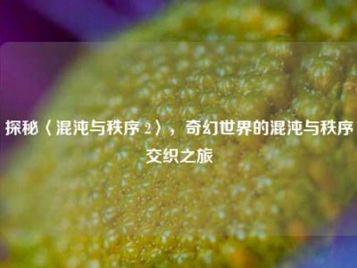 探秘〈混沌与秩序 2〉，奇幻世界的混沌与秩序交织之旅