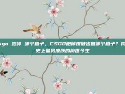 csgo 咆哮 哪个箱子，CSGO咆哮皮肤出自哪个箱子？揭秘史上最贵皮肤的前世今生