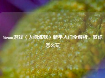 Steam游戏〈人间炼狱〉新手入门全解析，教你怎么玩