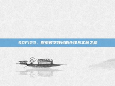 SDF123，探索数字领域的先锋与实践之路