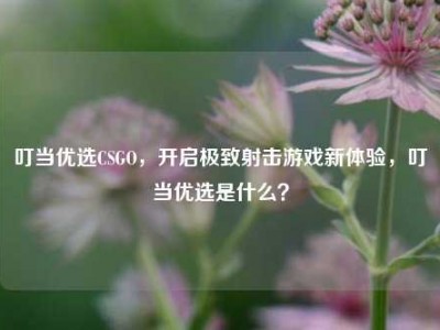 叮当优选CSGO，开启极致射击游戏新体验，叮当优选是什么？