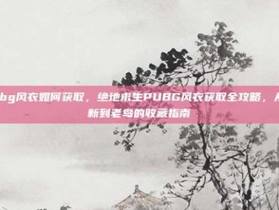 pubg风衣如何获取，绝地求生PUBG风衣获取全攻略，从萌新到老鸟的收藏指南