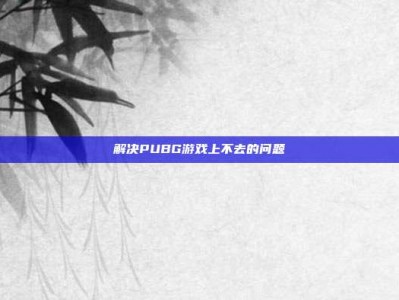 解决PUBG游戏上不去的问题