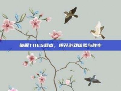 破解T11E5弱点，提升游戏体验与胜率
