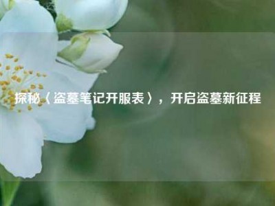 探秘〈盗墓笔记开服表〉，开启盗墓新征程