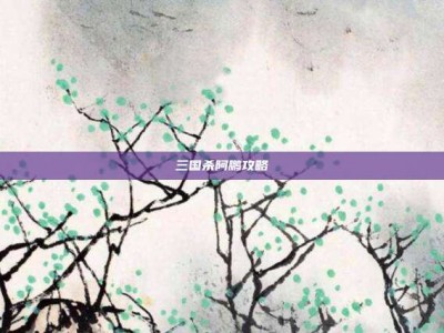 三国杀阿鹏攻略