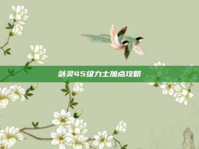 剑灵45级力士加点攻略