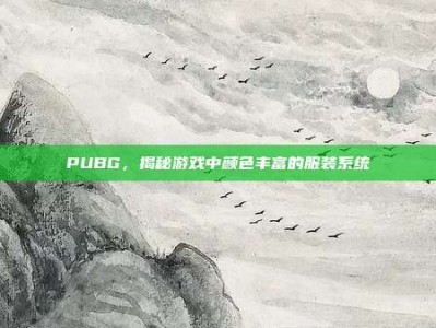PUBG，揭秘游戏中颜色丰富的服装系统