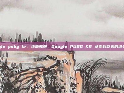 google pubg kr，逐鹿韩服，Google PUBG KR 从零到吃鸡的通关攻略