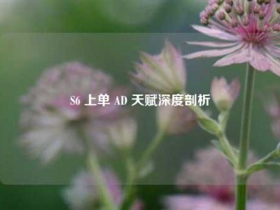 S6 上单 AD 天赋深度剖析