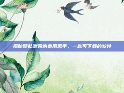 揭秘隐私泄露的幕后黑手，一款可下载的软件