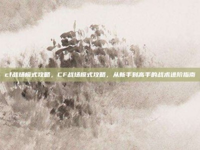 cf战场模式攻略，CF战场模式攻略，从新手到高手的战术进阶指南